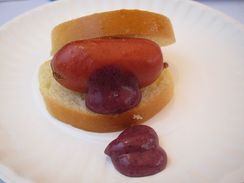TASTES Klee Kobe Dog 2