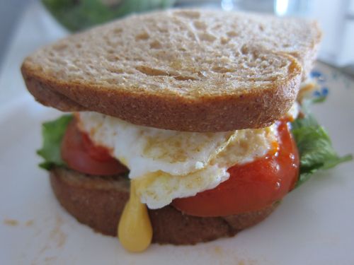 SP Egg Sandwich 1 SP Egg Sandwich 1