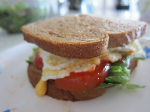 SP Egg Sandwich 2