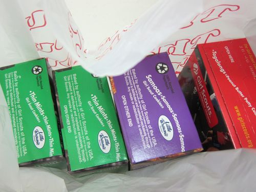 GirlScout Cookies bag dara GirlScout Cookies bag dara