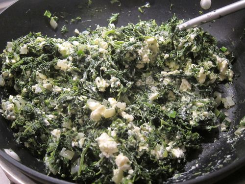 036 036