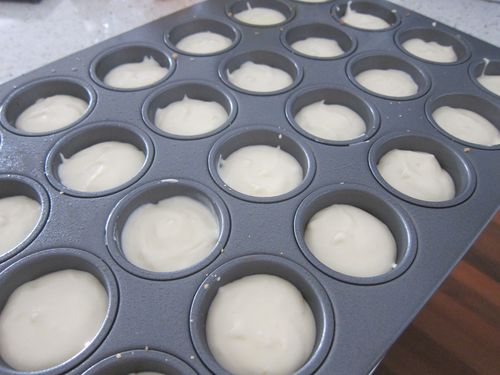 Newtons cc pan 1