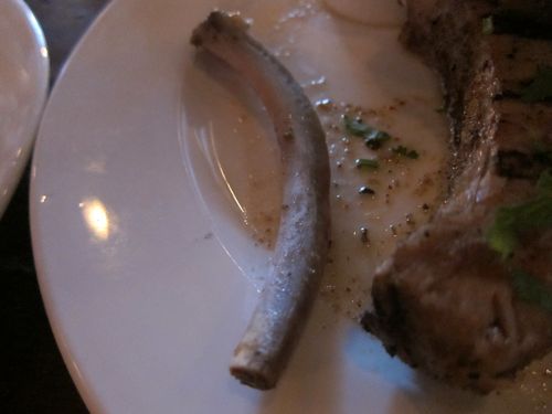 Mole ribs bone