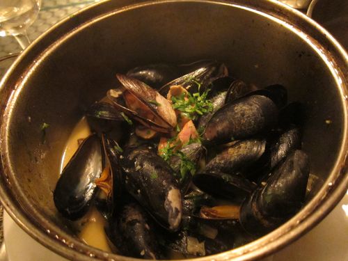 Flex Mussels fungi Flex Mussels fungi