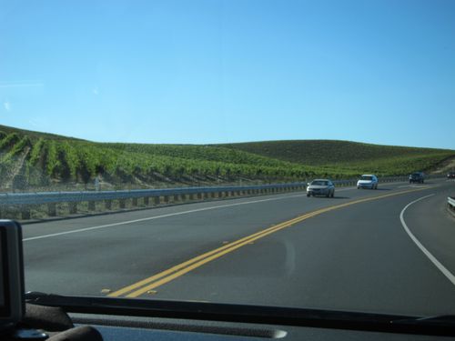 IMG_6134 IMG_6134