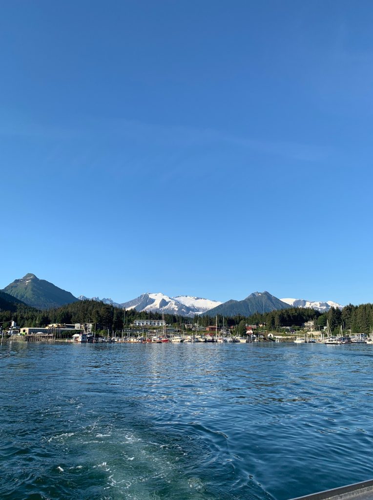Whale Watching - Juneau Tours